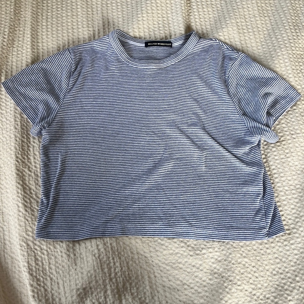 Cropped brandy Melville tshirt